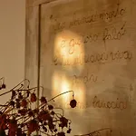 Casa Magnolia