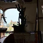 Casa Magnolia Terricciola
