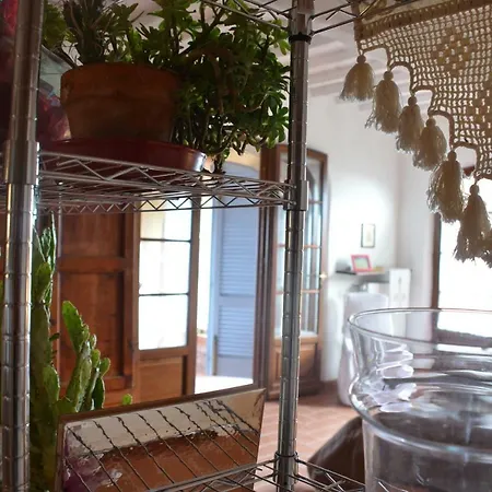 Casa Magnolia * Terricciola