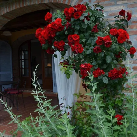 Casa Magnolia Διαμέρισμα *